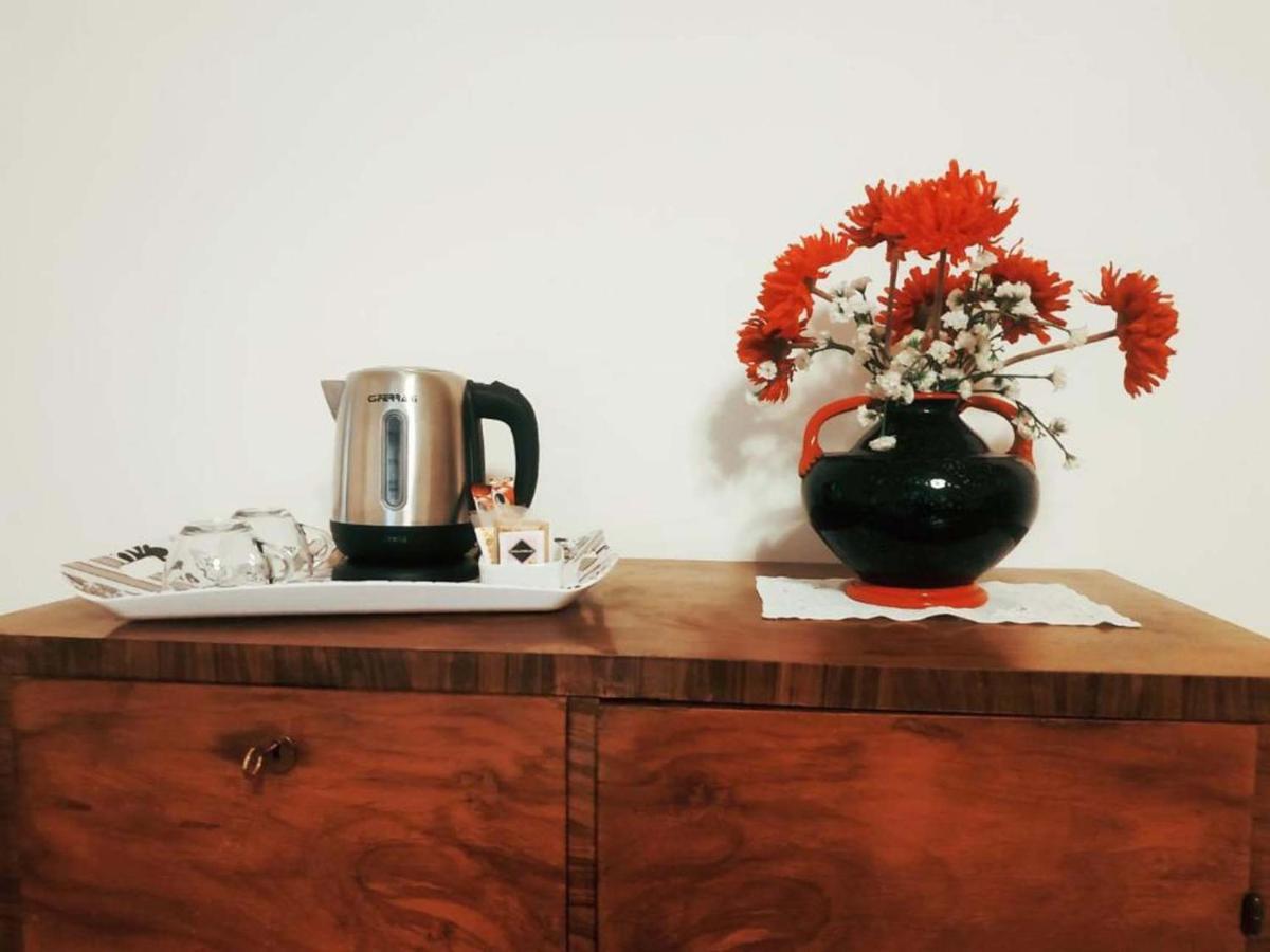 Domus Liberta - Boutique Rooms ترييستي المظهر الخارجي الصورة